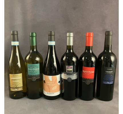 Italiensk smagkasse Velenosi - 2 hvid- og 4 rødvin